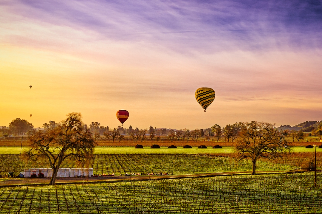 Napa Valley