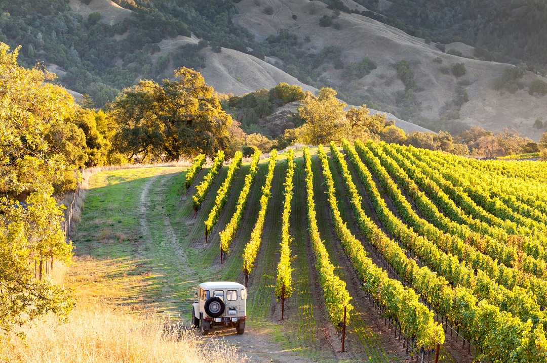 Sonoma Valley