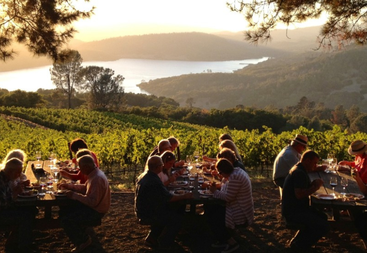 Napa Valley and Sonoma Full Day Wine Tour from San Francisco