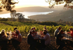 Photo for: The Transformative Impact of Wine Tourism on the Growth of the Wine Business